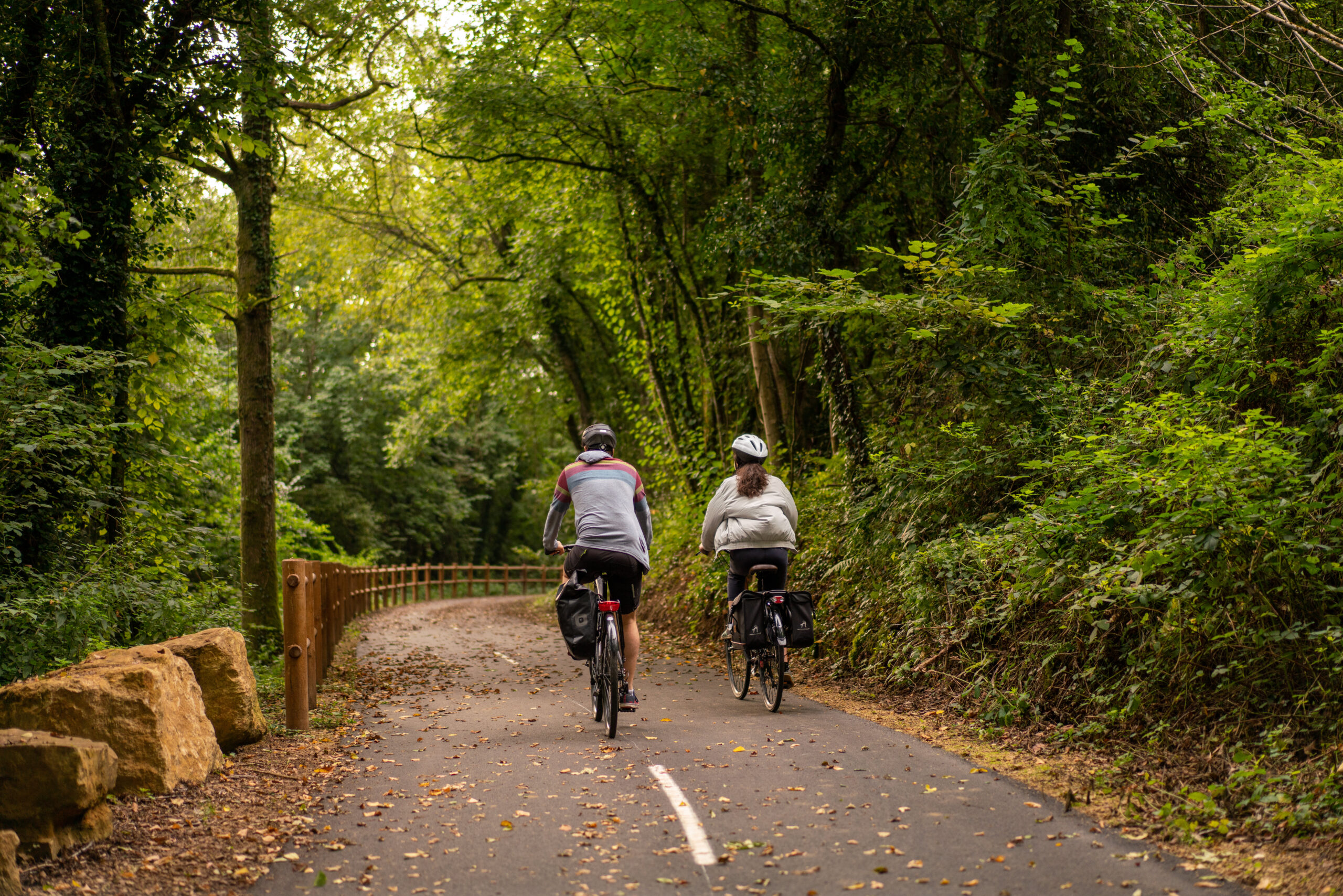 Ballade d'automne dans les forêts d'Ardenne