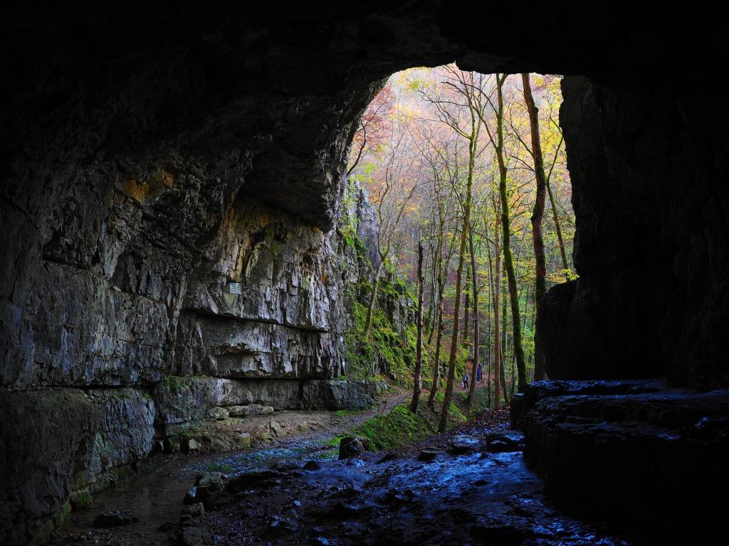 Höhle im Wald, Loch bei Nutons