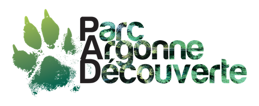 Logo PAD